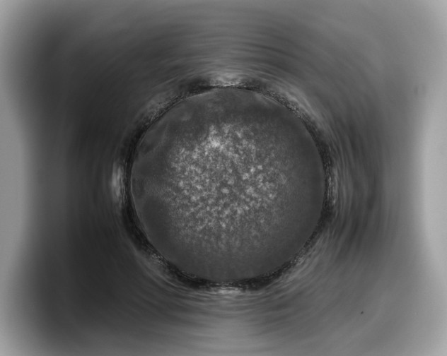 X0000099570598200805301542