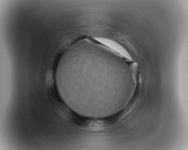 X0000099570599200805301542