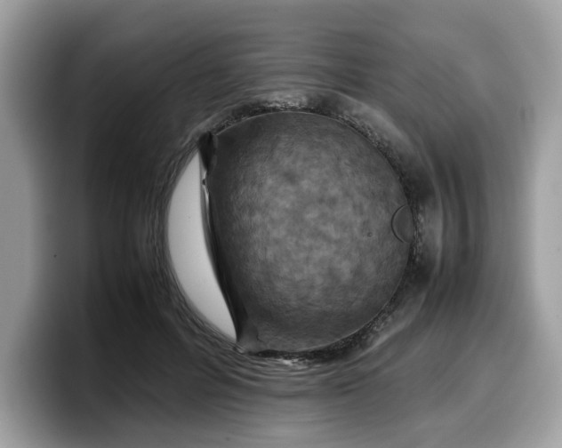 X0000099570600200805301542