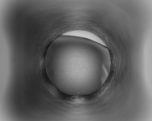 X0000099570601200805301542
