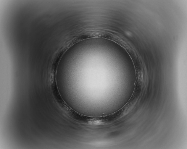 X0000099570602200805301542