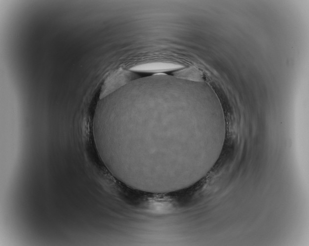 X0000099570603200805301542