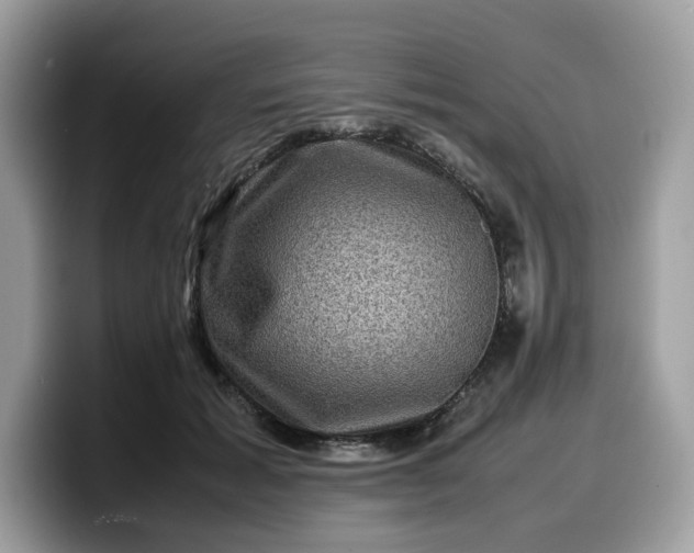 X0000099570605200805301542
