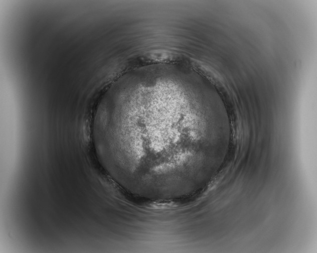 X0000099570606200805301542