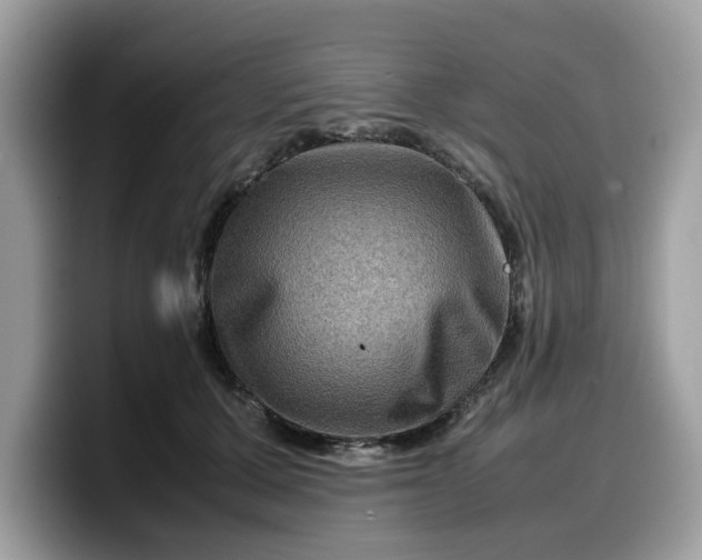 X0000099570607200805301542