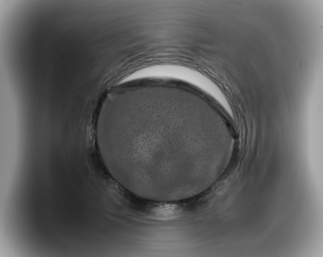 X0000099570609200805301542