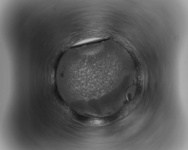 X0000099570610200805301542