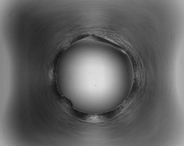 X0000099570611200805301542