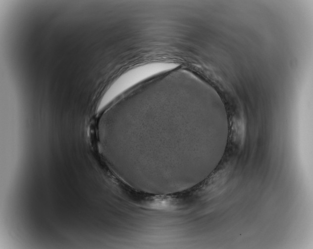 X0000099570612200805301542