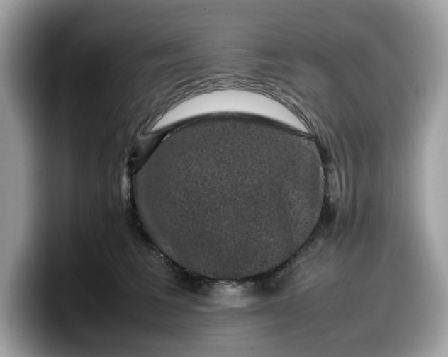 X0000099570613200805301542