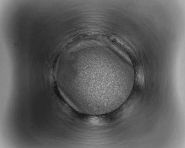 X0000099570616200805301542