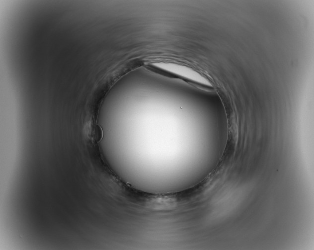 X0000099570619200805301542