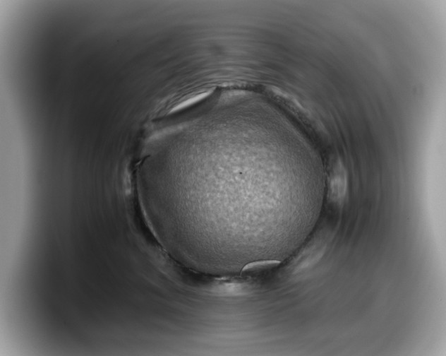 X0000099570620200805301542