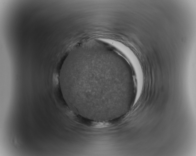 X0000099570621200805301542