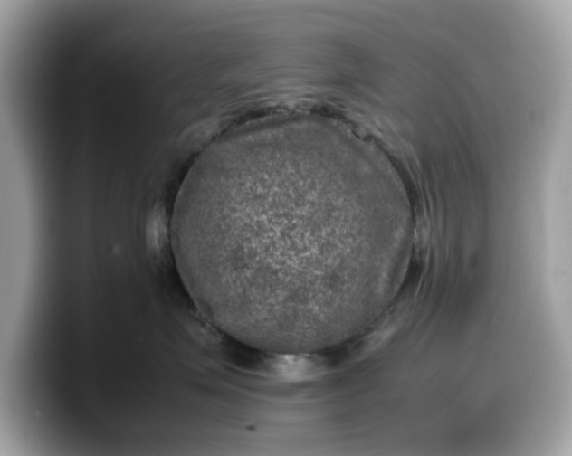 X0000099570623200805301542