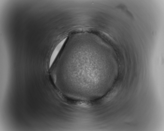 X0000099570624200805301542