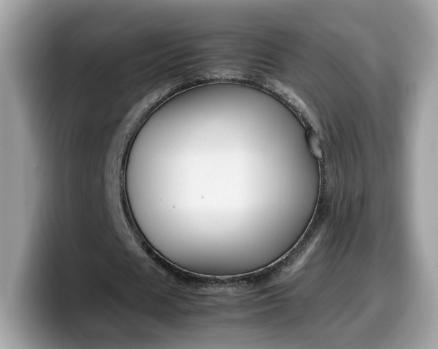 X0000099570625200805301541