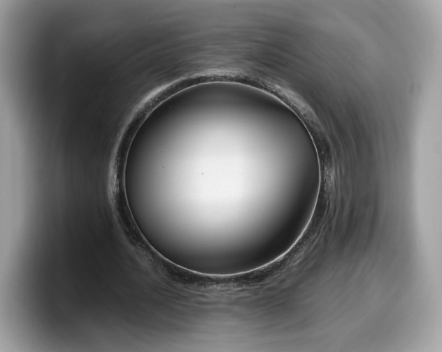 X0000099570628200805301541