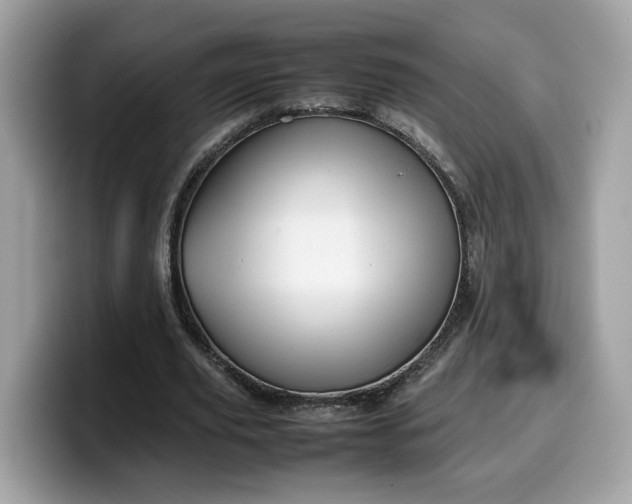 X0000099570629200805301541