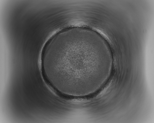 X0000099570630200805301541