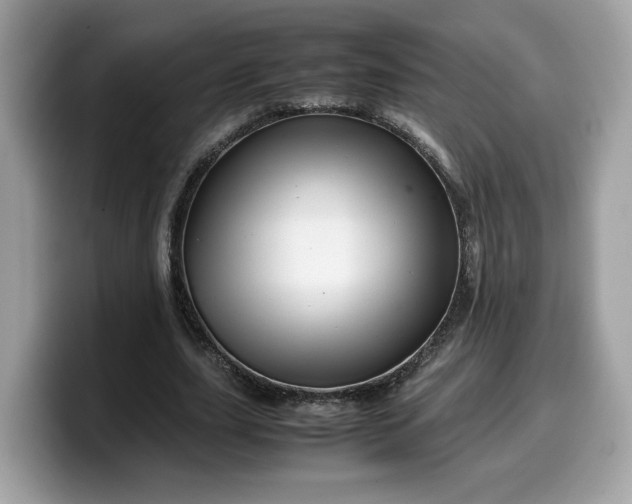 X0000099570631200805301541