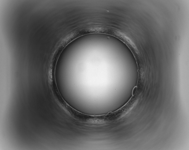 X0000099570633200805301541