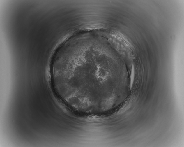 X0000099570634200805301541
