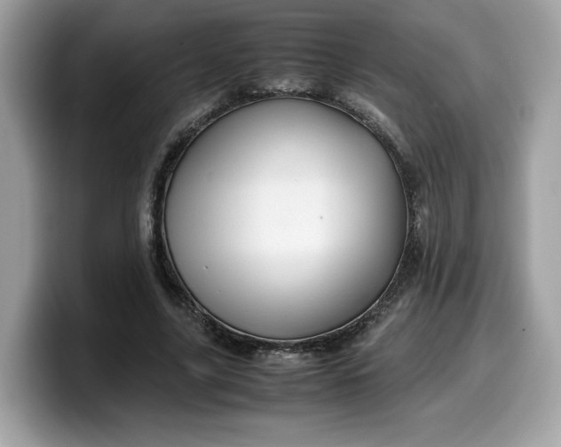 X0000099570635200805301541