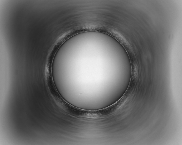 X0000099570636200805301541