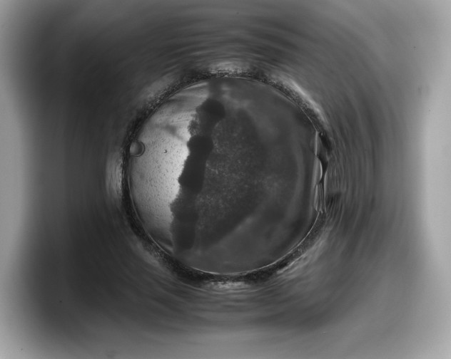 X0000099570637200805301541