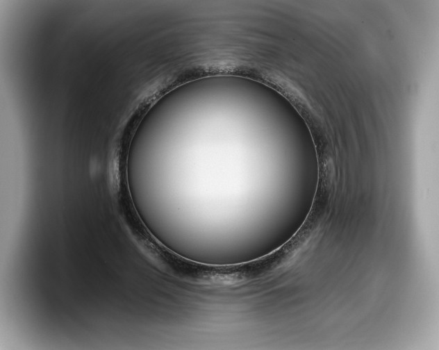 X0000099570638200805301541