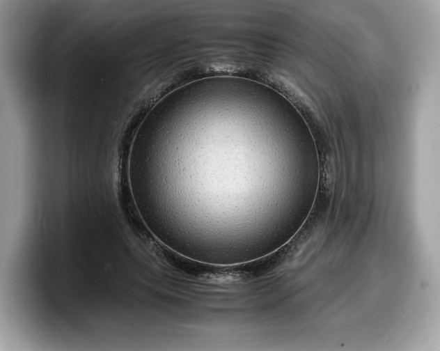 X0000099570639200805301541