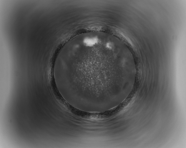 X0000099570641200805301541