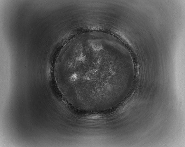 X0000099570643200805301541
