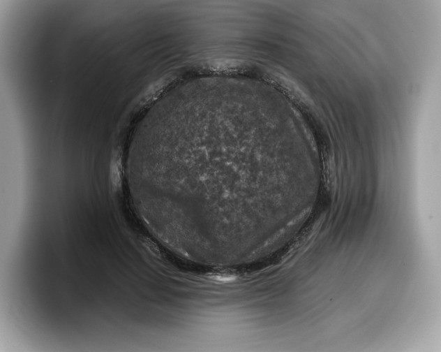 X0000099570644200805301541