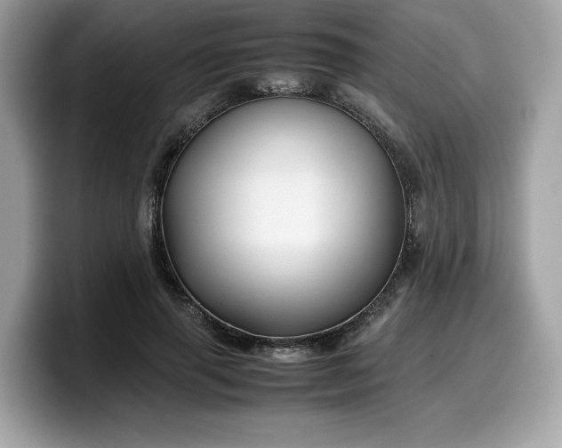X0000099570645200805301541