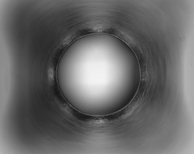 X0000099570646200805301541
