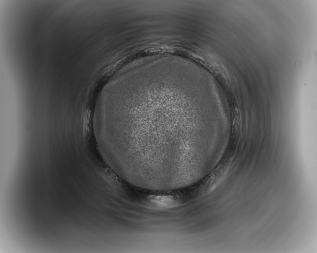 X0000099570649200805301541