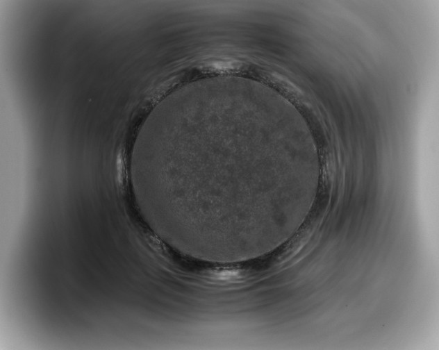 X0000099570651200805301541