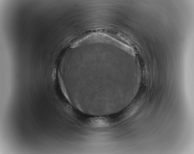 X0000099570652200805301541