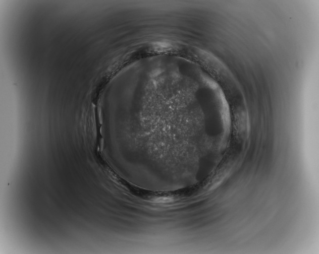 X0000099570653200805301541
