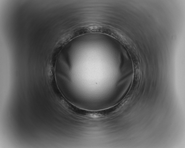 X0000099570654200805301541