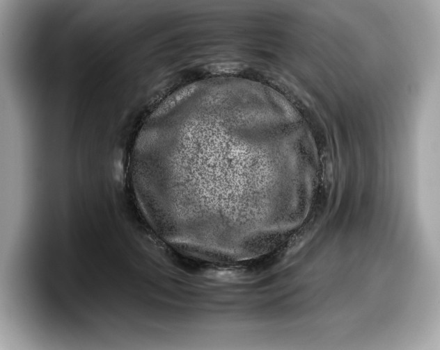 X0000099570655200805301541