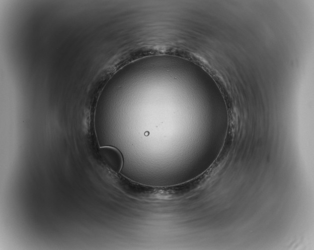 X0000099570656200805301541