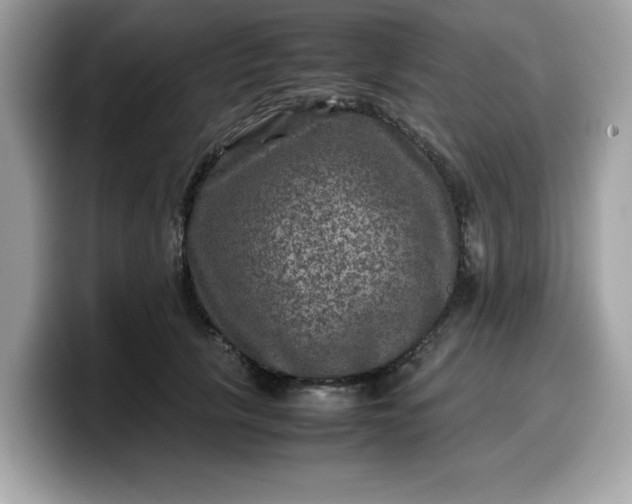 X0000099570657200805301541