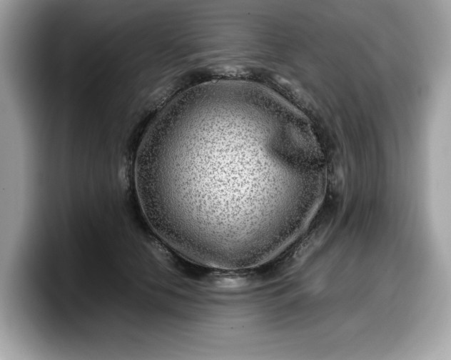 X0000099570658200805301541