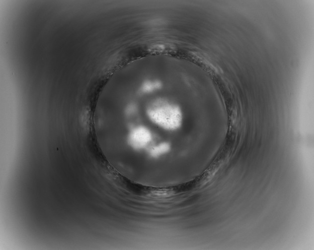 X0000099570659200805301541