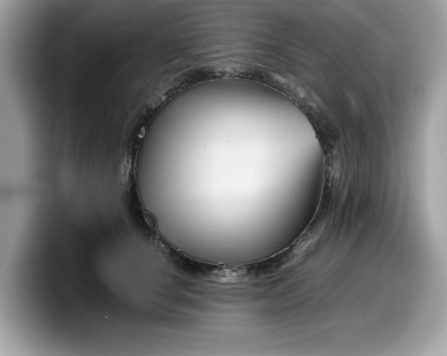 X0000099570660200805301541