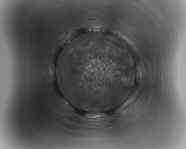 X0000099570661200805301541