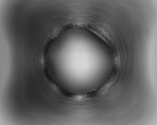 X0000099570662200805301541